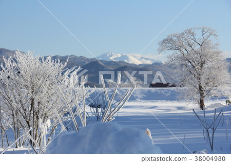 Winter landscape in Akita prefecture Snow Hoarfrost Blue sky 38004980
