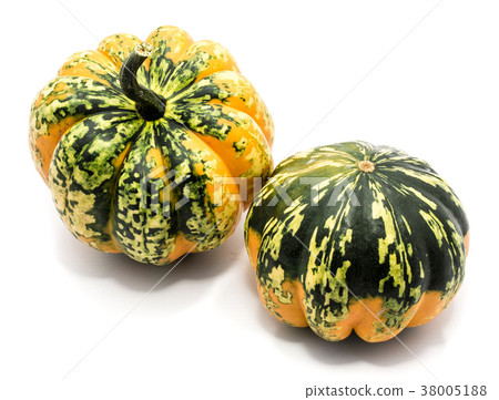 Green pumpkin isolated on white Green pumpkin isolated on white 38005188