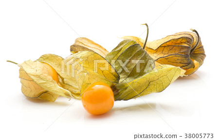 Fresh physalis isolated on white Fresh physalis isolated on white 38005773