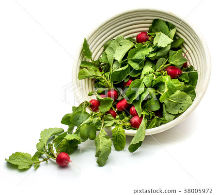 Fresh red radish isolated on white 38005972