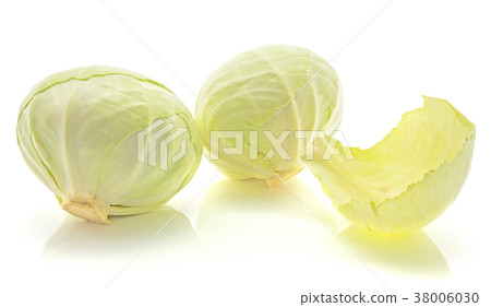 Raw white cabbage isolated on white Raw white cabbage isolated on white 38006030