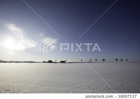 從童話山上看到的雪地毯和落葉松 38007137