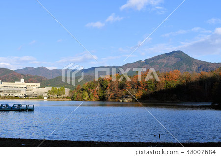 Takarago池塘在深秋 38007684