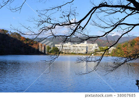 Takarago Pond in the late autumn Takarago Pond in the late autumn 38007685
