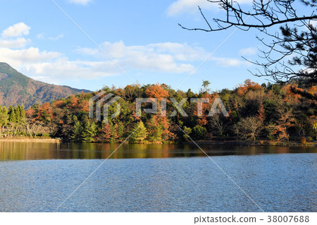 Takarago Pond in the late autumn Takarago Pond in the late autumn 38007688