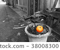 Potsang Orange 38008300