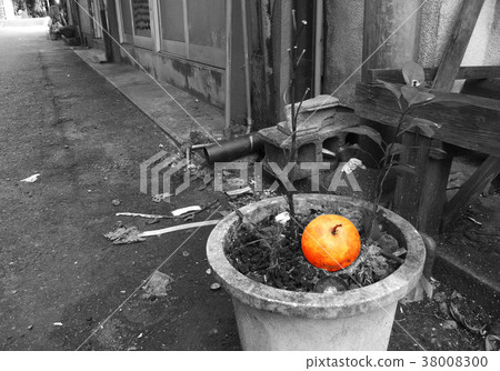 Potsang Orange Potsang Orange 38008300