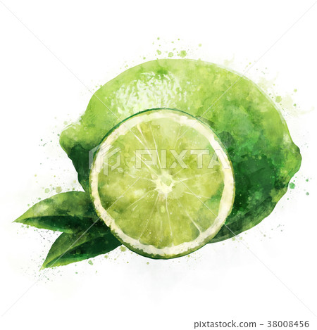 Lime on white background. Watercolor illustration Lime on white background. Watercolor illustration 38008456