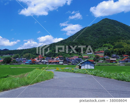 Shimane Shonan town summer 38008604