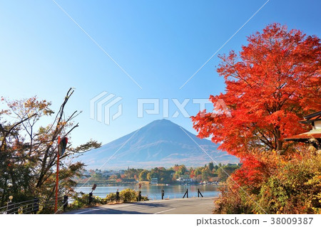 Mt. Fuji and autumn leaves from Yamanashi Prefecture Kohoku view line Mt. Fuji and autumn leaves from Yamanashi Prefecture Kohoku view line 38009387