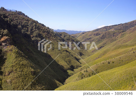 Dzukou valley, Located at the border of the states Dzukou valley, Located at the border of the states 38009546