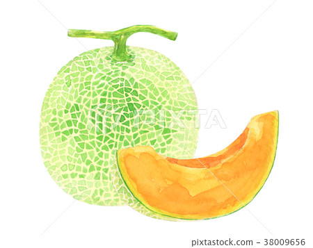 紅肉瓜 紅肉瓜 38009656