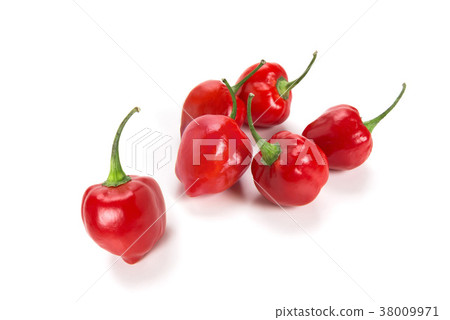 Habanero, a hot spice 38009971