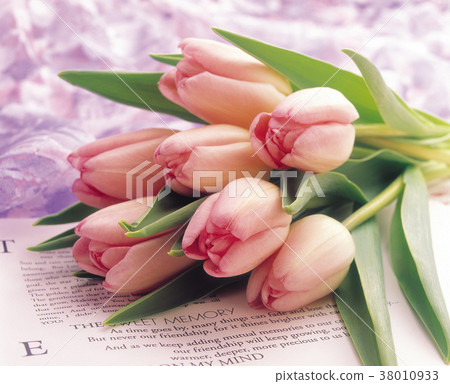 花藝,生日,祝福,設計,創意,問候,意象,卡片,花,花瓣,開花,植物,棚拍 38010933