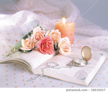 Floral,birthday,blessing,design,creative,greeting,imagery,card,flower,petal,flowering,plant,shed shot 38010937