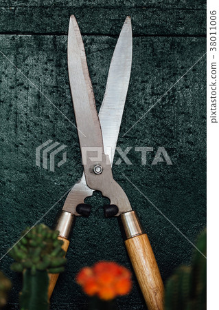 Professional new large pruner. Brilliant secateurs 38011006
