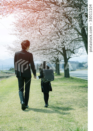 Day of entrance ceremony Father and first grader daughter walking along a row of cherry blossoms 38011104