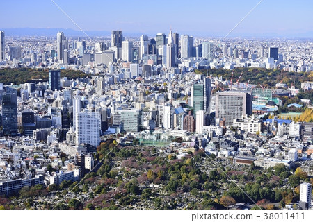 Tokyo city view Shinjuku area 38011411