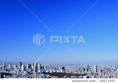 Tokyo city view Shinjuku area 38011445