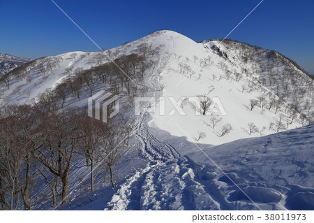 View Tenjinzan from the Tanigawadake in winter 38011973