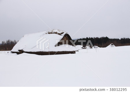 在冬季的Sannai Maruyama遺址（大型住宅區） 38012295