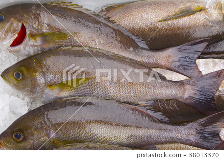 Isaki Foodstuff 38013370