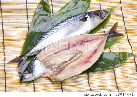 咸鯖魚 咸鯖魚 38014471