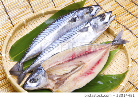 咸鯖魚 咸鯖魚 38014481