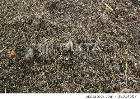 soil in garden with dry grass 38014507