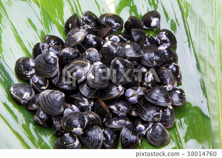 Shijimi ingredients Shijimi ingredients 38014760