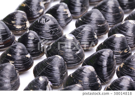 Shijimi ingredients Shijimi ingredients 38014818