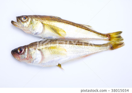 Hatahata fish ingredients 38015034