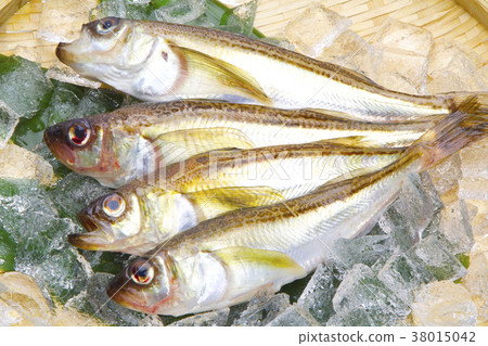 Hatahata魚成分 38015042