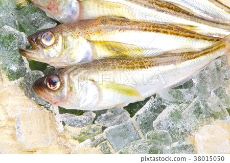 Hatahata魚成分 Hatahata魚成分 38015050