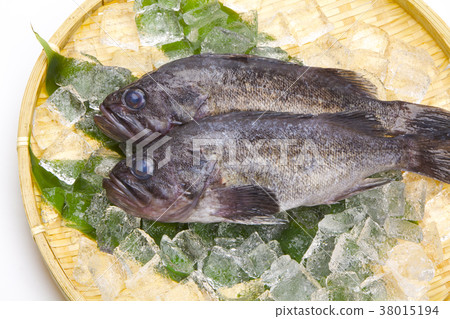 Rockfish Rockfish 38015194