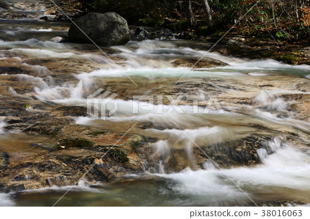 Impressions of Autumn 38016063