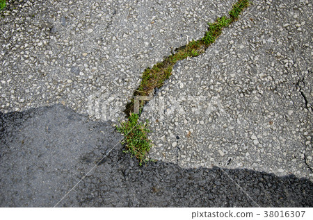 cracked asphalt background 38016307