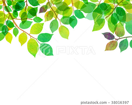 Sunlight through the day Texture background material 38016397