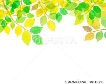 Sunlight through the day Texture background material 38016398