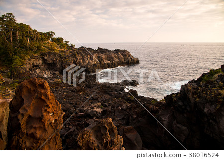 [Higashi Izu] bathed in morning light, Jogasaki coast 38016524