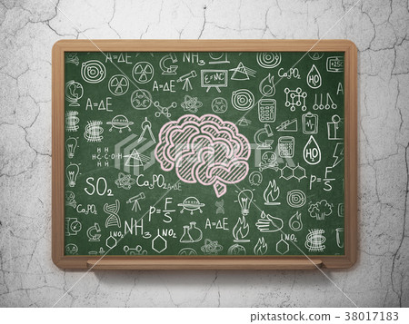 Science concept: Brain on School board background Science concept: Brain on School board background 38017183