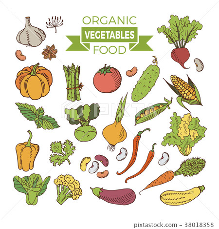 set of colored vegetables. 38018358