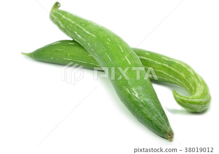 Snake gourd isolated 38019012