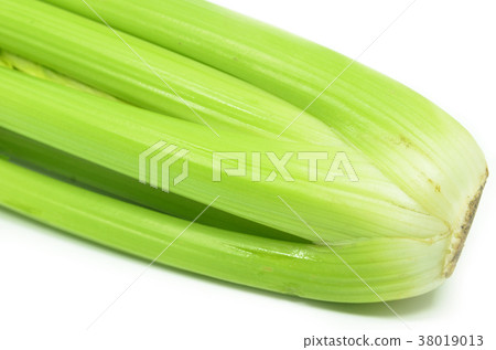 Bunch of celery sticks isolated 38019013