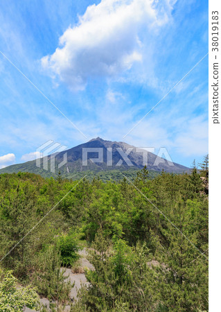來自Arimura熔岩天文台的櫻島 - 一個建於大正拉瓦拉的360度全景天文台 -  38019183