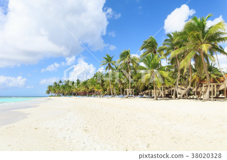 Vacation in Dominican Republic 38020328