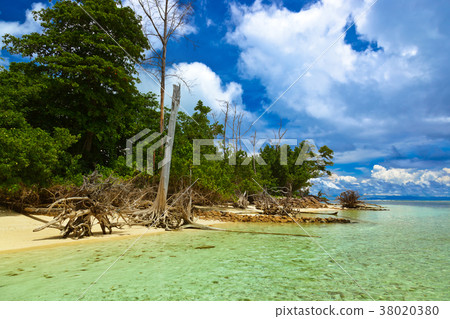 Tropical beach at Seychelles 38020380