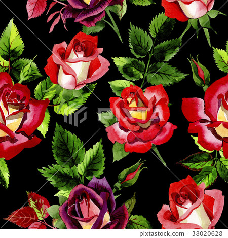 插圖素材: wildflower two-color dark red rose flower pattern