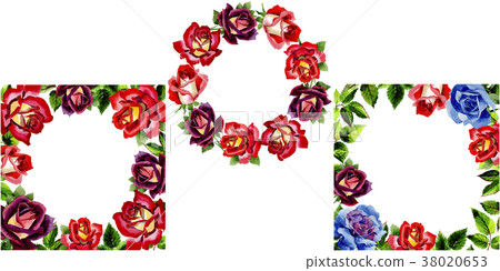 Wildflower two-color dark red rose flower frame in Wildflower two-color dark red rose flower frame in 38020653
