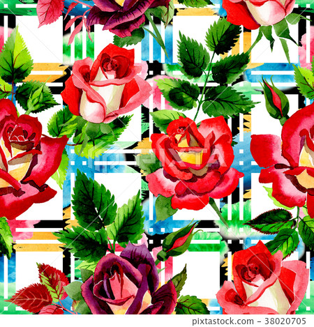 Wildflower two-color dark red rose flower pattern Wildflower two-color dark red rose flower pattern 38020705